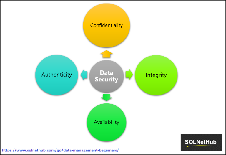 What is Data Security and which are its Main Characteristics? - SQLNetHub